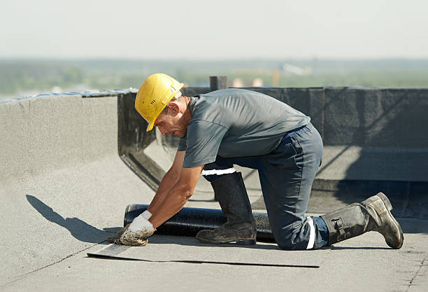 Best Cellulose Insulation in Russell Springs, KY